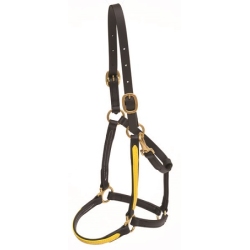 Beta Halter w/Color Trim